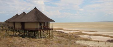 etosha 6