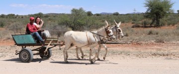 kalahari ferrari 4