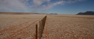namib 8