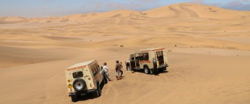 namib living desert 1