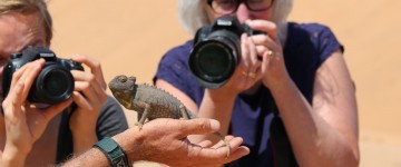 namib living desert 2