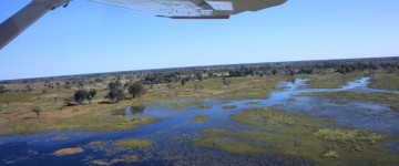 okavango 3