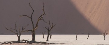 sossusvlei 1