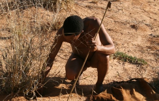 Bosjesmensen in de Kalahari (Namibië)