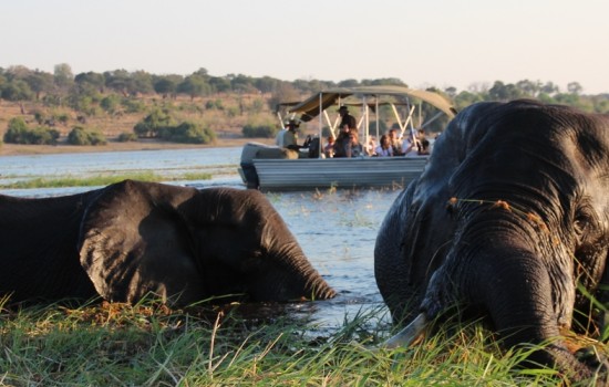 Chobe National Park