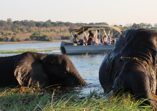 Chobe 3