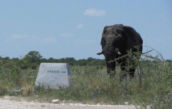 Etosha National Park