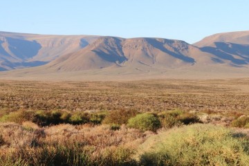 karoo 1