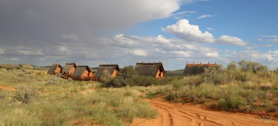 Kgalagadi Transfrontier Park Zuid-Afrika