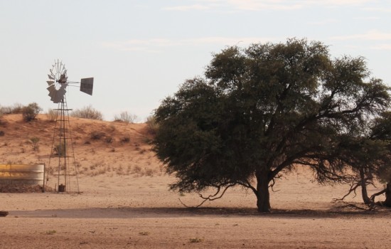 Kgalagadi Transfrontier Park (ZA)