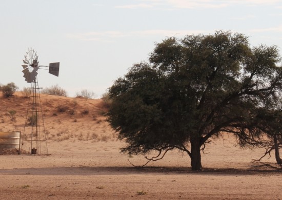 Kgalagadi 4