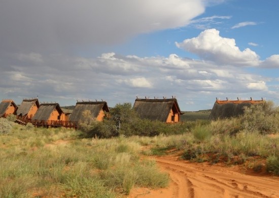 kgalagadi 10 1