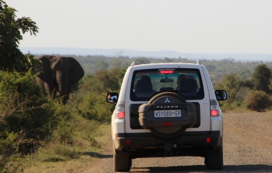  Kruger National Park