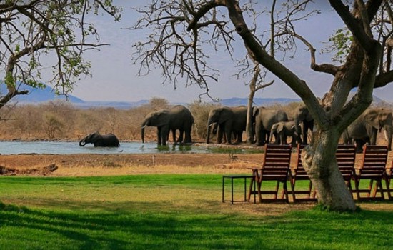 Madikwe wild reservaat