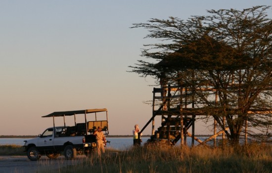 Makgadikgadi and Nxai Pan National Park