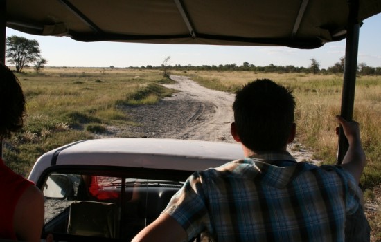 Nxai Pan & Makgadikgadi National Park