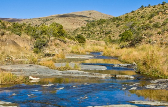 Mountain Zebra National Park