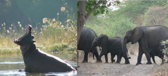 Mudumu National Park