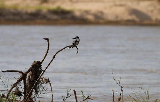 Mudumu National Park