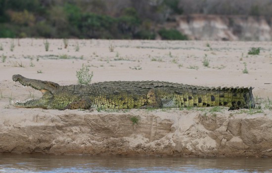 Mudumu National Park