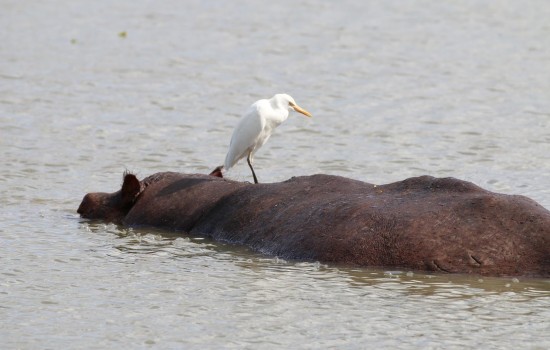 Mudumu National Park