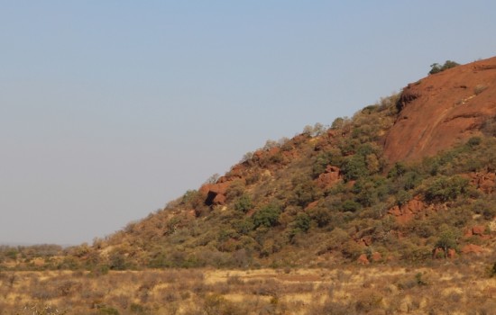 Pilanesberg Wild Reservaat