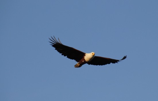 St Lucia & iSimangaliso Wetland Park