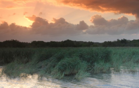 St Lucia & iSimangaliso Wetland Park