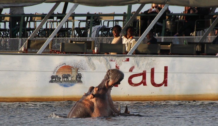 Lekkerbly Chobe Boat Trip crp