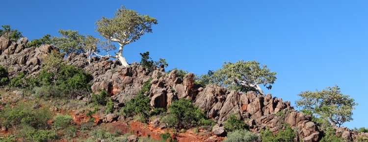 Lekkerbly Kaokaland2