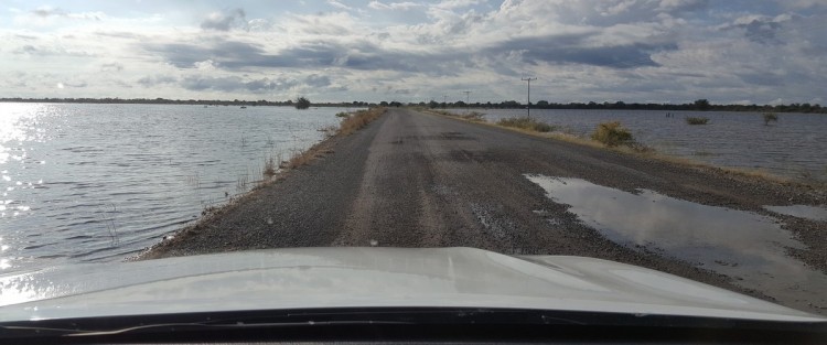 Lekkerbly wegen Botswana