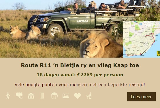 R11 Lekkerbly