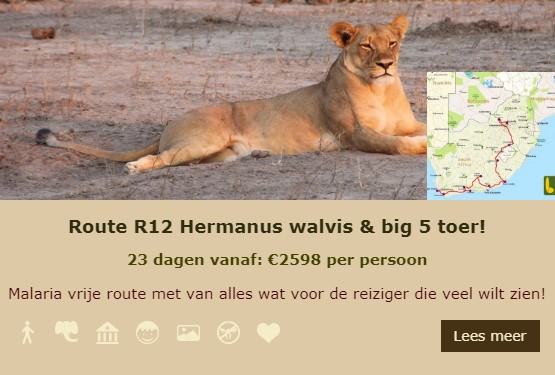 R12 Lekkerbly