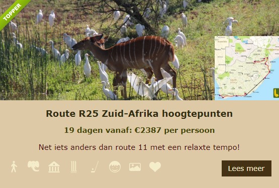 R25 Lekkerbly