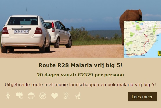 R28 Lekkerbly