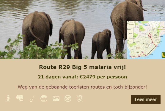 R29 Lekkerbly