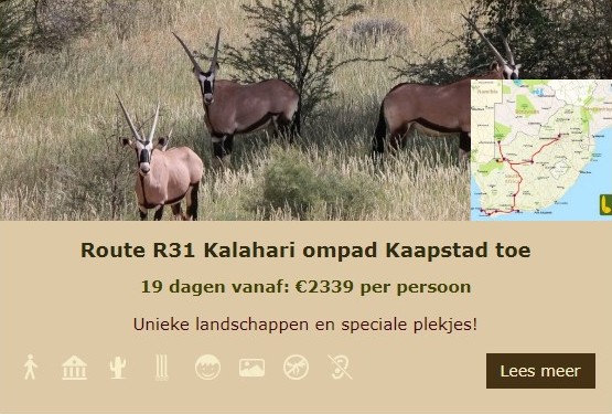 R31a Lekkerbly