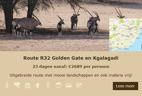 R31 Lekkerbly