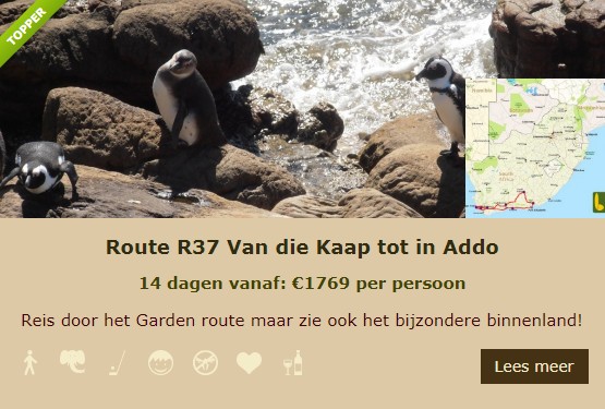 R37 Lekkerbly
