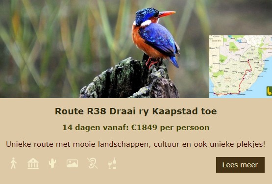 R38 Lekkerbly