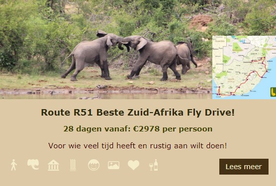 R51 Lekkerbly