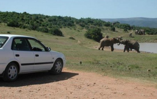 Addo National Park