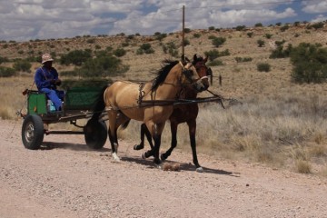 kalahari ferrari 1