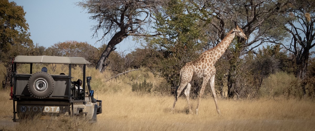 Lekkerbly Botswana Okavango safari