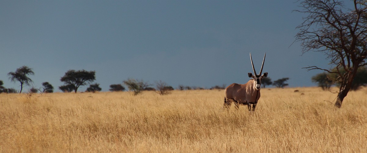 Lekkerbly overzicht informatie