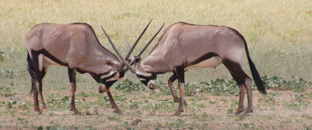 Jennifer en Rogerius