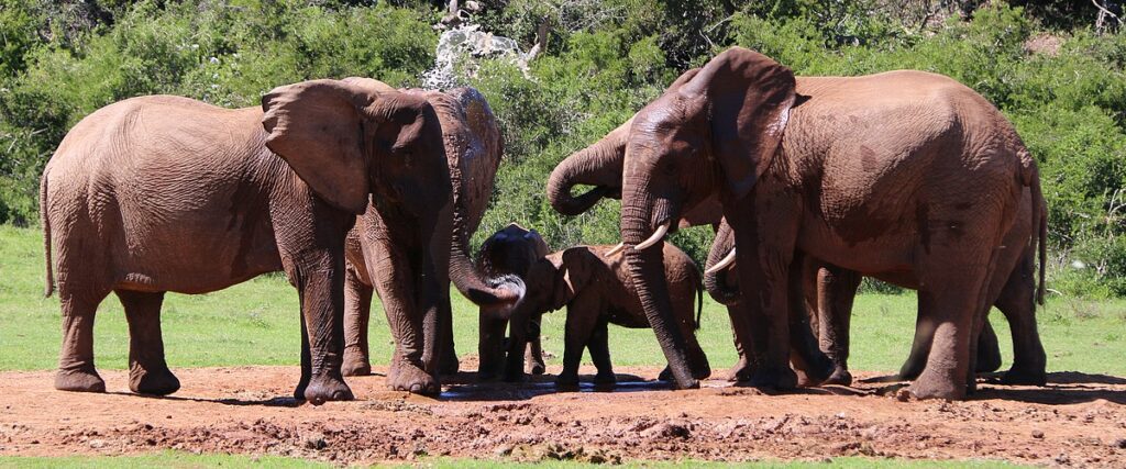 de heer en mevrouw Hupperetz