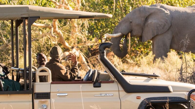 Safari 4x4 self-drive Botswana